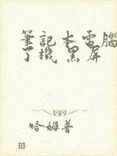 笔记本电脑开不了机 黑屏