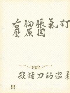 右胸胀气打嗝什么原因封面