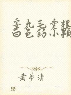 睾丸毛囊根部有白色的小颗粒封面