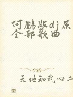 何鹏版dj原唱全部歌曲