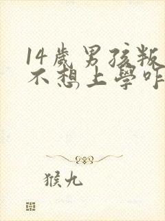 14岁男孩叛逆不想上学咋办