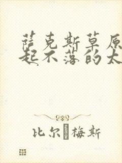 萨克斯草原上升起不落的太阳