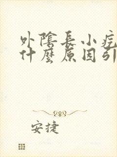 外阴长小疙瘩是什么原因引起的