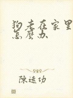 狗老在家里乱尿怎么办