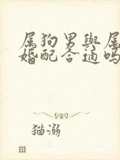 属狗男与属虎女婚配合适吗