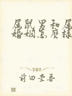 属鼠男和属牛女婚姻怎么样