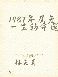 1987年属兔一生的命运怎么样封面