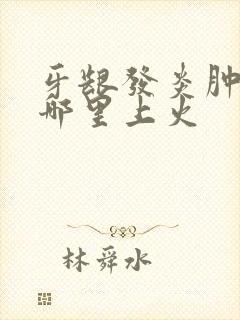 牙龈发炎肿痛是哪里上火