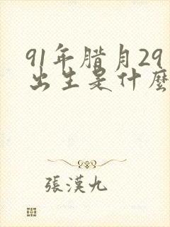 91年腊月29出生是什么命封面