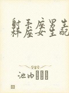 射手座男生和天秤座女生配对指数