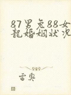 87男兔88女龙婚姻状况封面