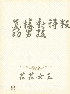 怎样对待叛逆期的男孩