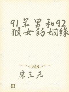 91羊男和92猴女的姻缘怎么样