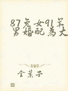 87兔女91羊男婚配为大忌封面
