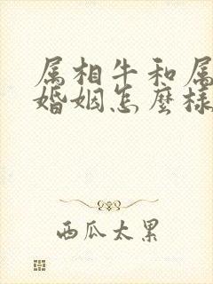 属相牛和属相狗婚姻怎么样