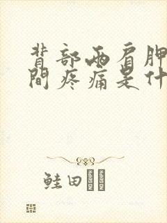 背部两肩胛骨中间疼痛是什么原因封面