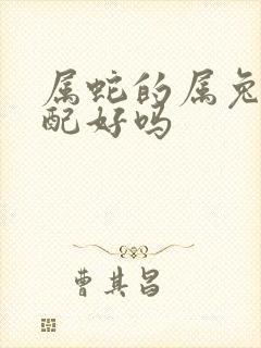属蛇的属兔的婚配好吗封面