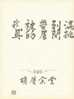 我被带到满是玩具的房间挑调作文