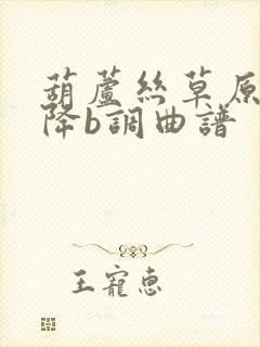 葫芦丝草原之夜降b调曲谱