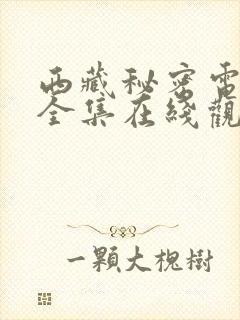 西藏秘密电视剧全集在线观看封面