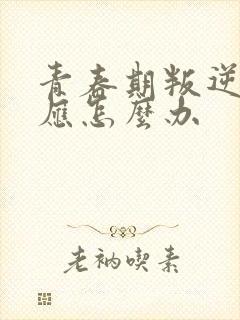 青春期叛逆家长应怎么办封面