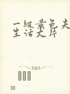 一级黄色夫妻性生活大片