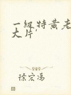 一级特黄老太婆大片'