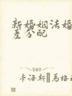 新婚姻法婚前财产分配