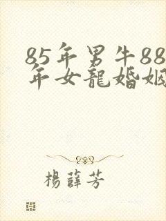 85年男牛88年女龙婚姻相配吗封面