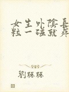 女生外阴长硬颗粒一碰就疼