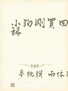 小狗刚买回家拉稀