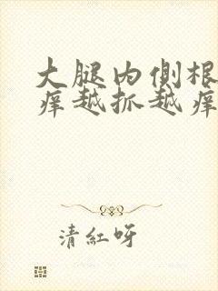 大腿内侧根部痒痒越抓越痒有小红疙瘩