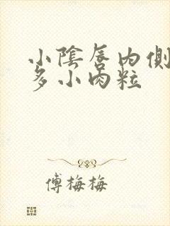 小阴唇内侧长很多小肉粒