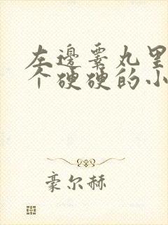 左边睾丸里面有个硬硬的小疙瘩还疼