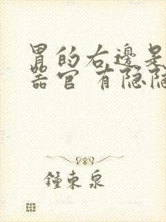 胃的右边是什么器官 有隐隐的疼