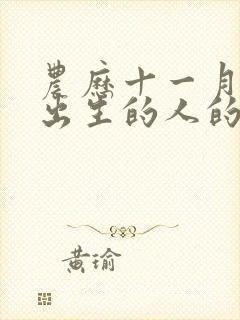 农历十一月三十出生的人的命运