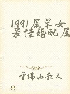 1991属羊女最佳婚配属相