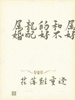 属龙的和属兔的婚配好不好