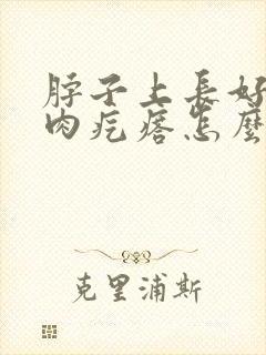 脖子上长好多小肉疙瘩怎么回事