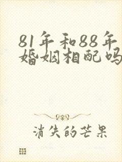 81年和88年婚姻相配吗