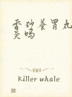 香砂养胃丸管胃炎吗