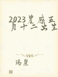 2023农历五月十二出生的男孩命运
