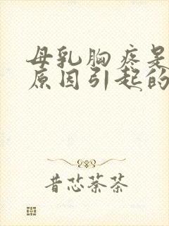 母乳胸疼是什么原因引起的封面