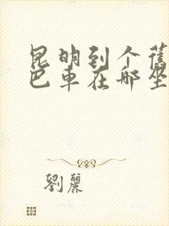 昆明到个旧的大巴车在哪坐