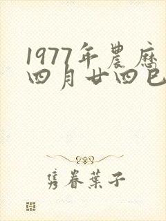 1977年农历四月廿四巳时出生女命