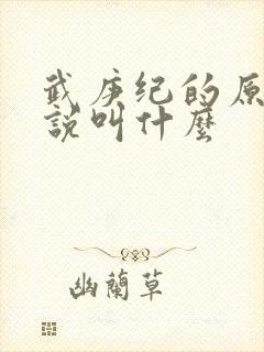 武庚纪的原著小说叫什么