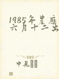 1985年农历六月十二出生是什么命