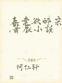 春棠欲醉宋棠宁,萧厌小说封面