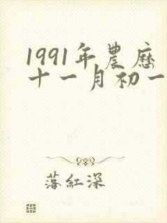 1991年农历十一月初一属于什么命