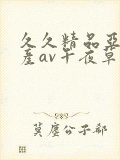 久久精品亚洲国产av午夜草